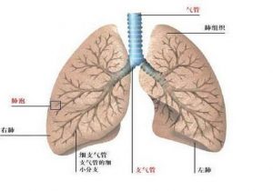 AZD9291多少钱，准备要宝宝能吃吗