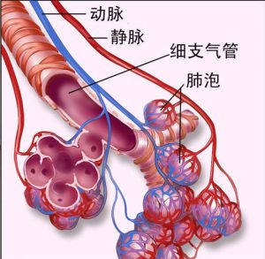 AZD9291治疗非小细胞肺癌有效性高吗？