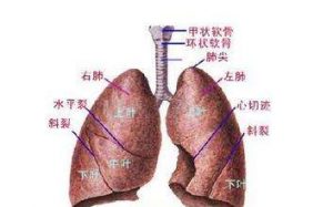 听说AZD9291效果好，但是买来就能吃吗？